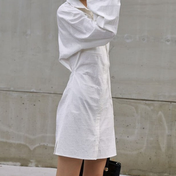 Vela Shirt Dress